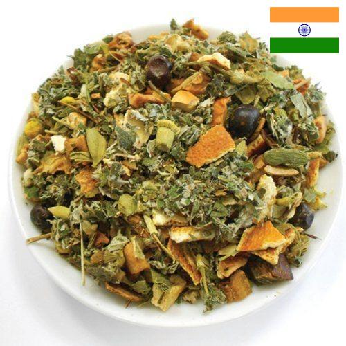 Лекарственные травы из Индии