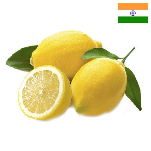 лимон свежий из Индии