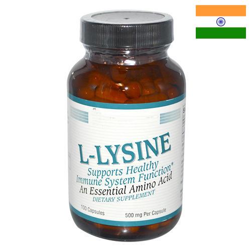 Лизин из Индии