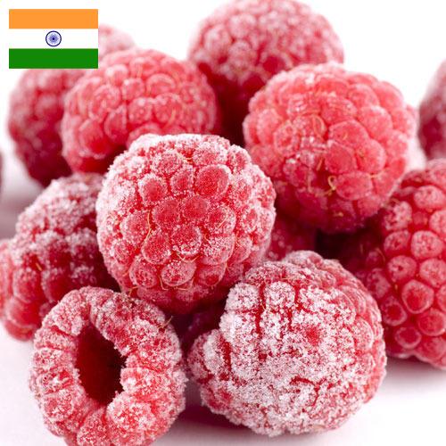 малина замороженная из Индии