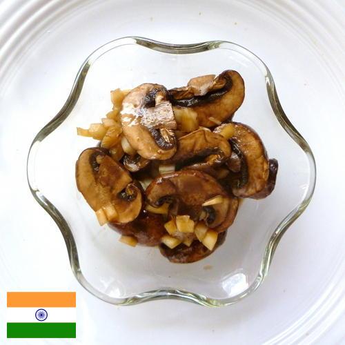 Маринованные грибы из Индии