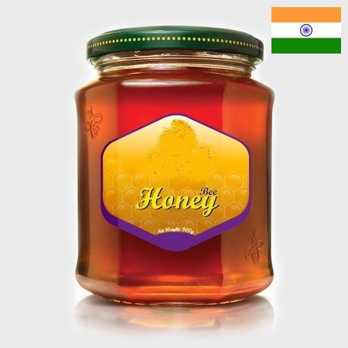 мед натуральный из Индии