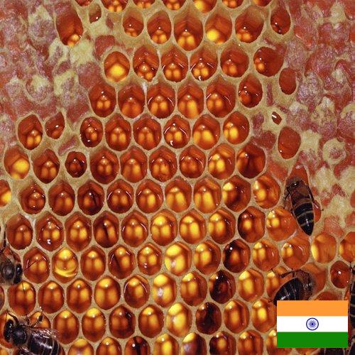 мед оборудование из Индии