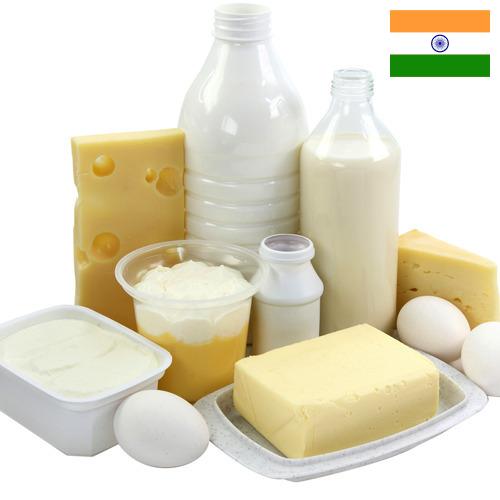 Молочная продукция из Индии