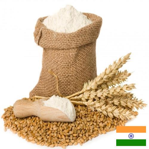 мука пшеничная хлебопекарная высший сорт из Индии