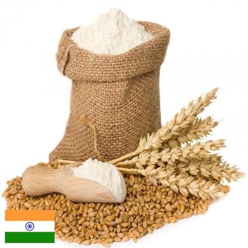 мука пшеничная хлебопекарная из Индии
