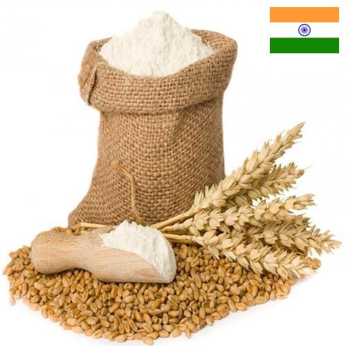 мука пшеничная первый сорт из Индии