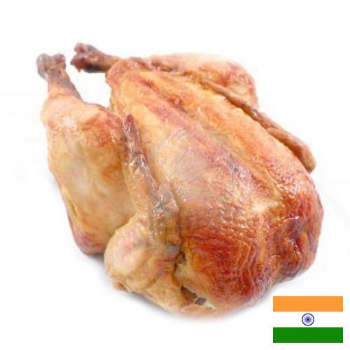 мясо куриное из Индии