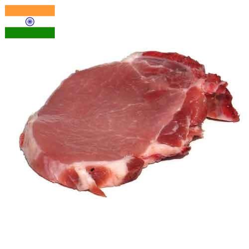 мясо свинина из Индии