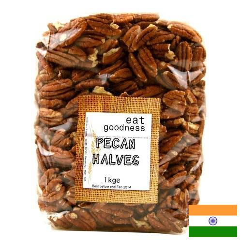 Орехи пекан из Индии