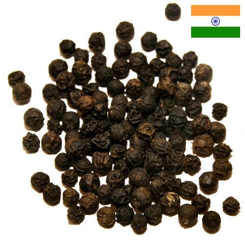 Перец черный горошек из Индии