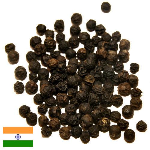 перец черный из Индии