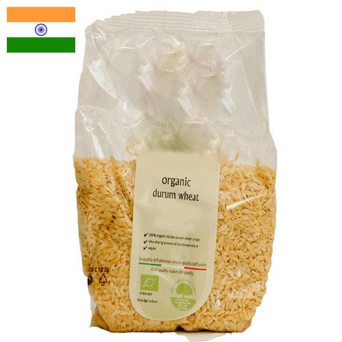 пшеница твердая из Индии