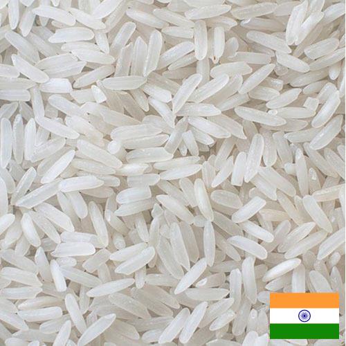 рис длиннозерный из Индии