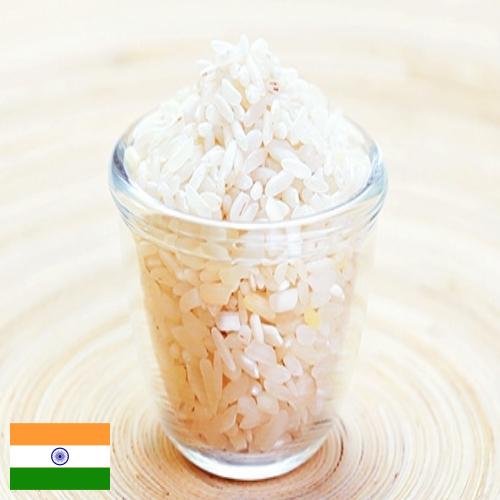 рис шлифованный из Индии