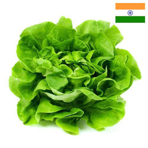 салат из Индии
