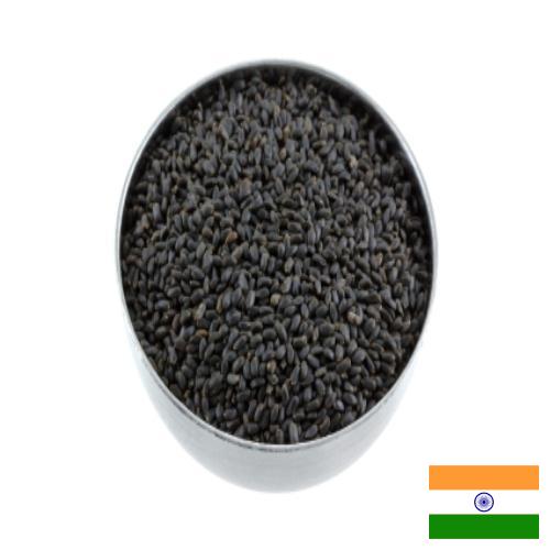Семена базилика из Индии