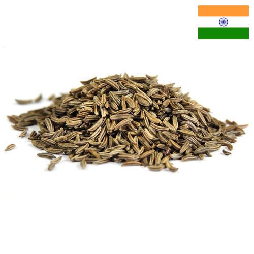 Семена фенхеля из Индии