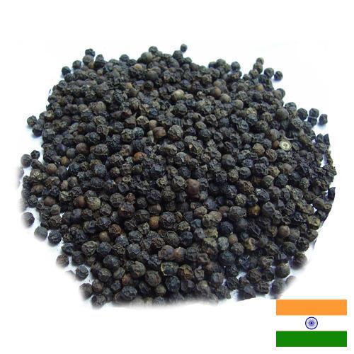 Семена перца из Индии