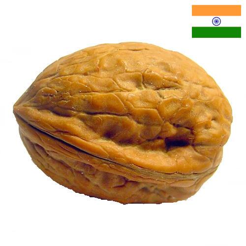 Скорлупа грецкого ореха из Индии