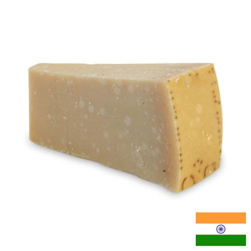 сыр пармезан из Индии