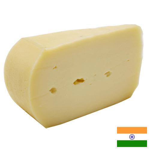 Сыры полутвёрдые из Индии