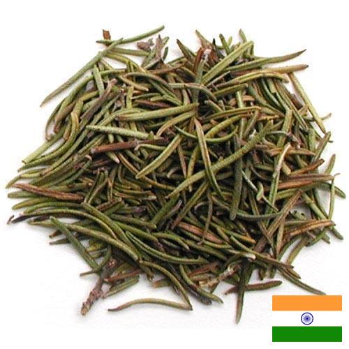 Травы сушеные из Индии