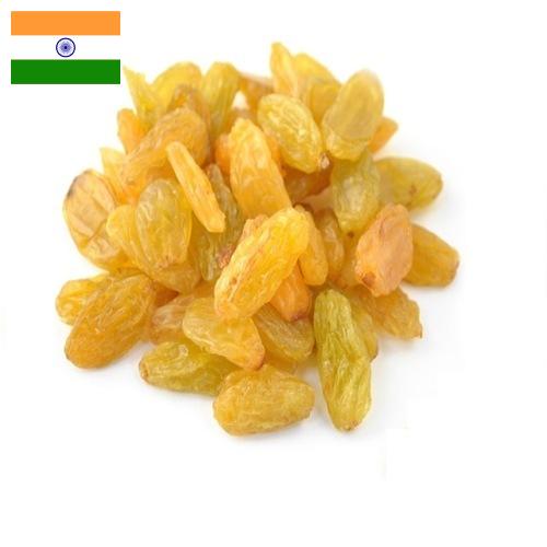 виноград сушеный из Индии