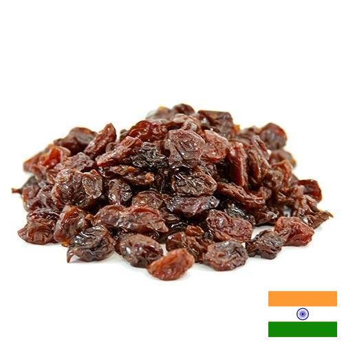 Вишня сушеная из Индии