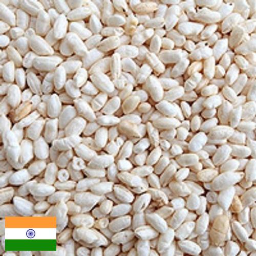 Воздушный рис из Индии
