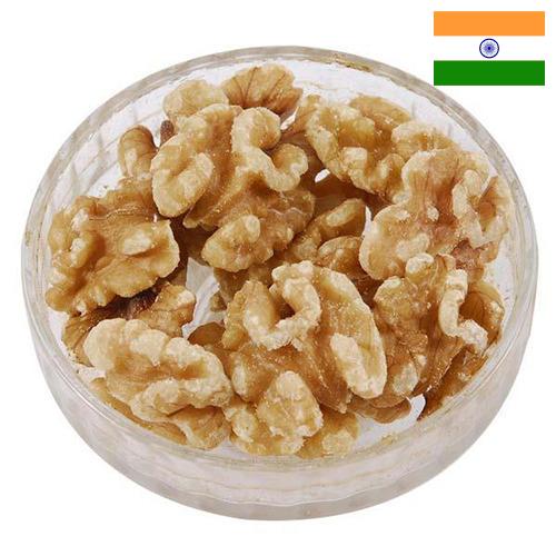 Ядра орехов из Индии