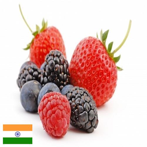 Ягоды из Индии