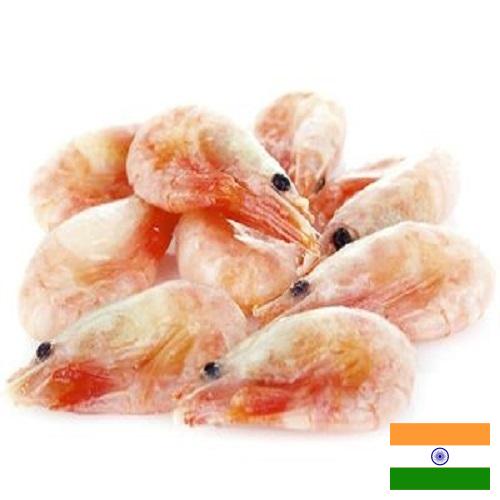 замороженные креветки из Индии