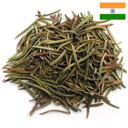 зелень сушеная из Индии