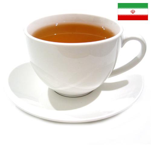Чай из Ирана