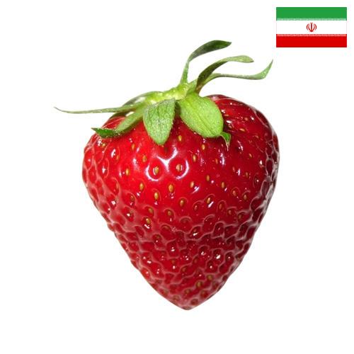 Клубника из Ирана
