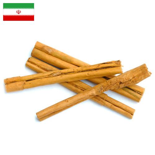 Корица из Ирана