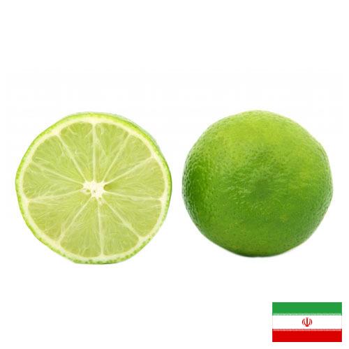 лайм из Ирана
