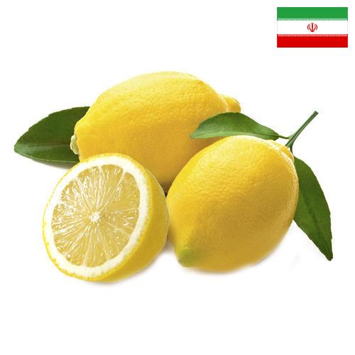лимон свежий из Ирана