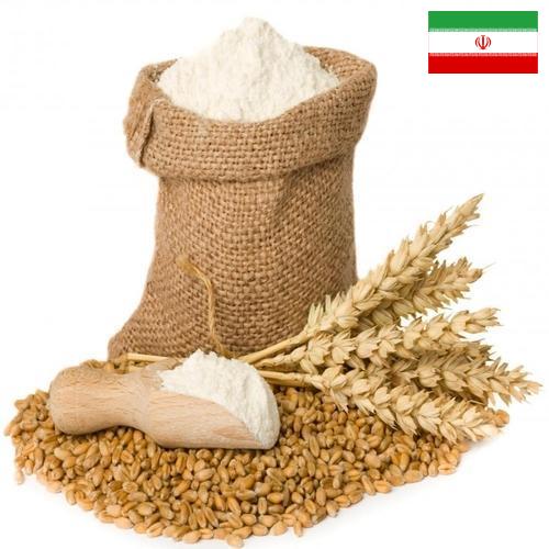мука пшеничная первый сорт из Ирана