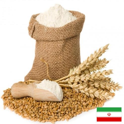 мука пшеничная высший из Ирана