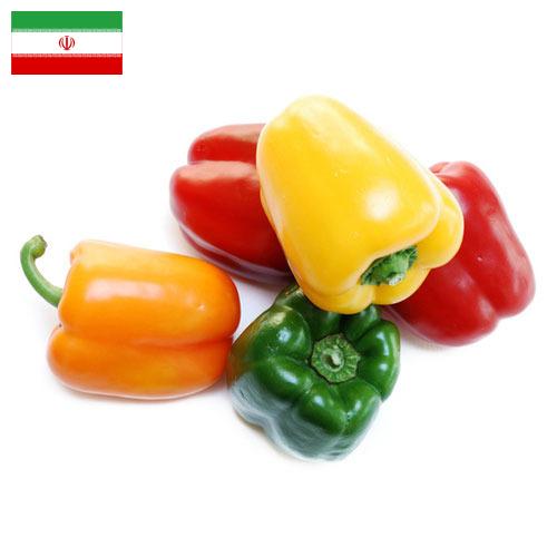 перец болгарский свежий из Ирана