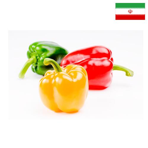 Перец сладкий из Ирана