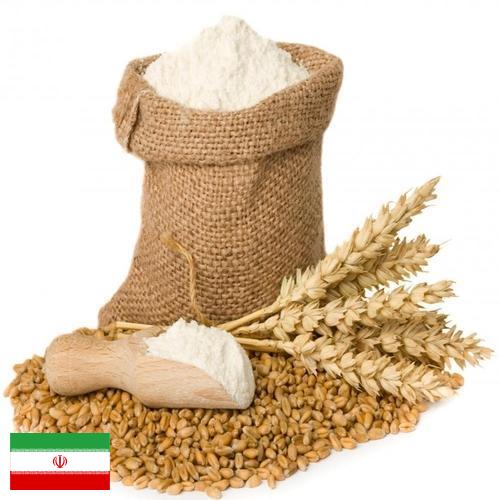 Пшеничная мука из Ирана
