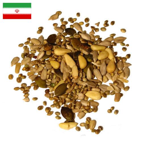 Семена из Ирана