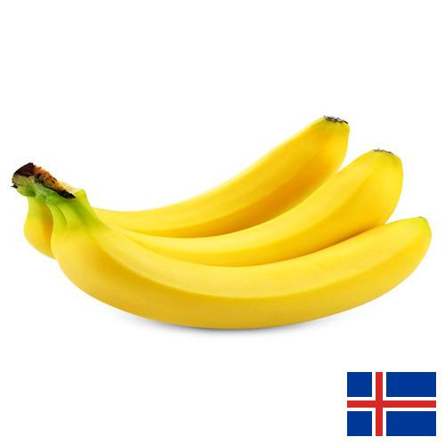 Бананы из Исландии