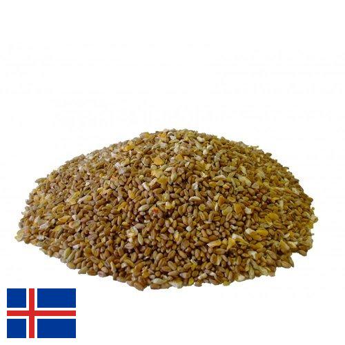 Корма для птицы из Исландии