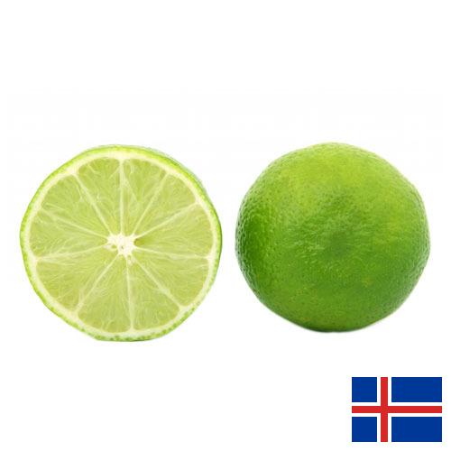 лайм из Исландии