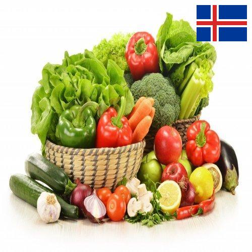 Овощи свежие из Исландии