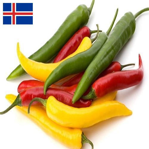 Перец чили из Исландии